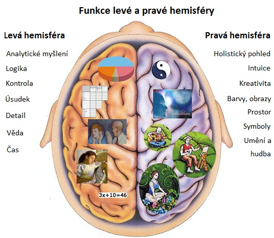 Funkce-hemisfér